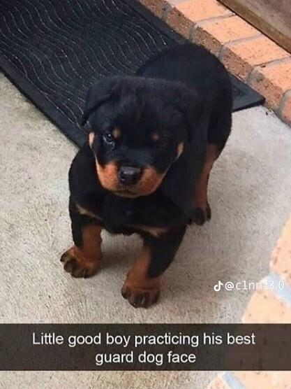 Little good boy practicing his best oTET R leTe RETeLY