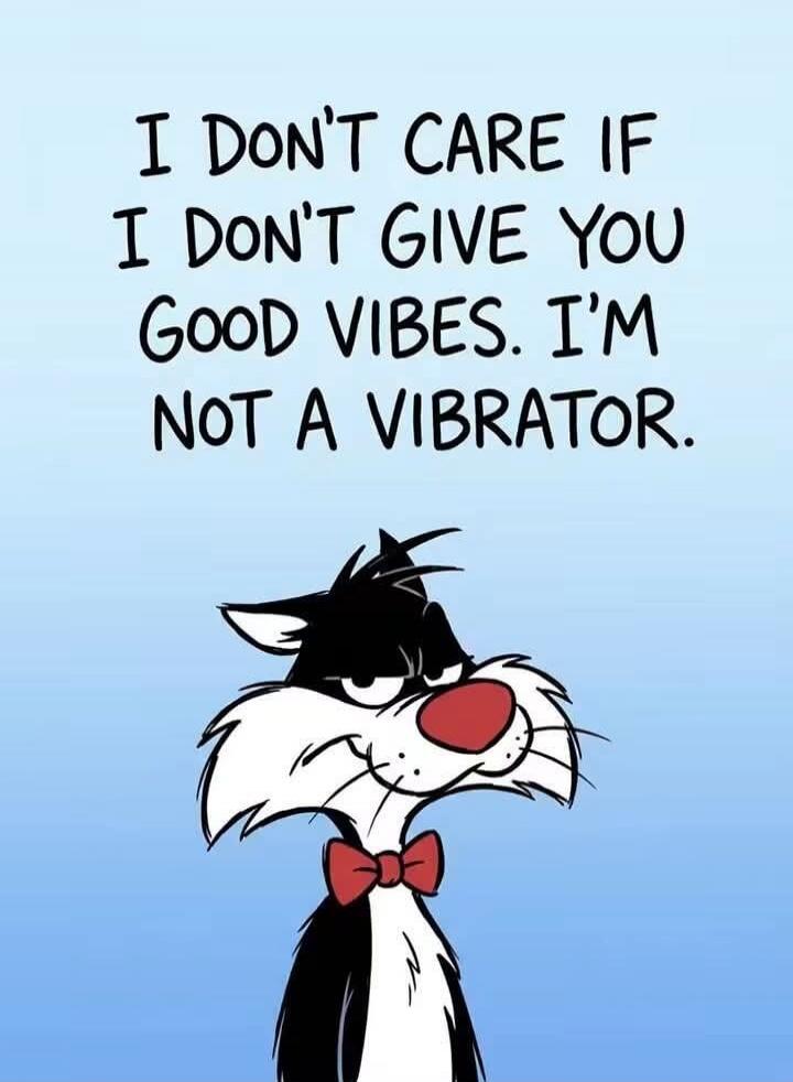 I DON'T CARE IF I DON'T GIVE YOU GOOD VIBES. I'M NOT A VIBRATOR.