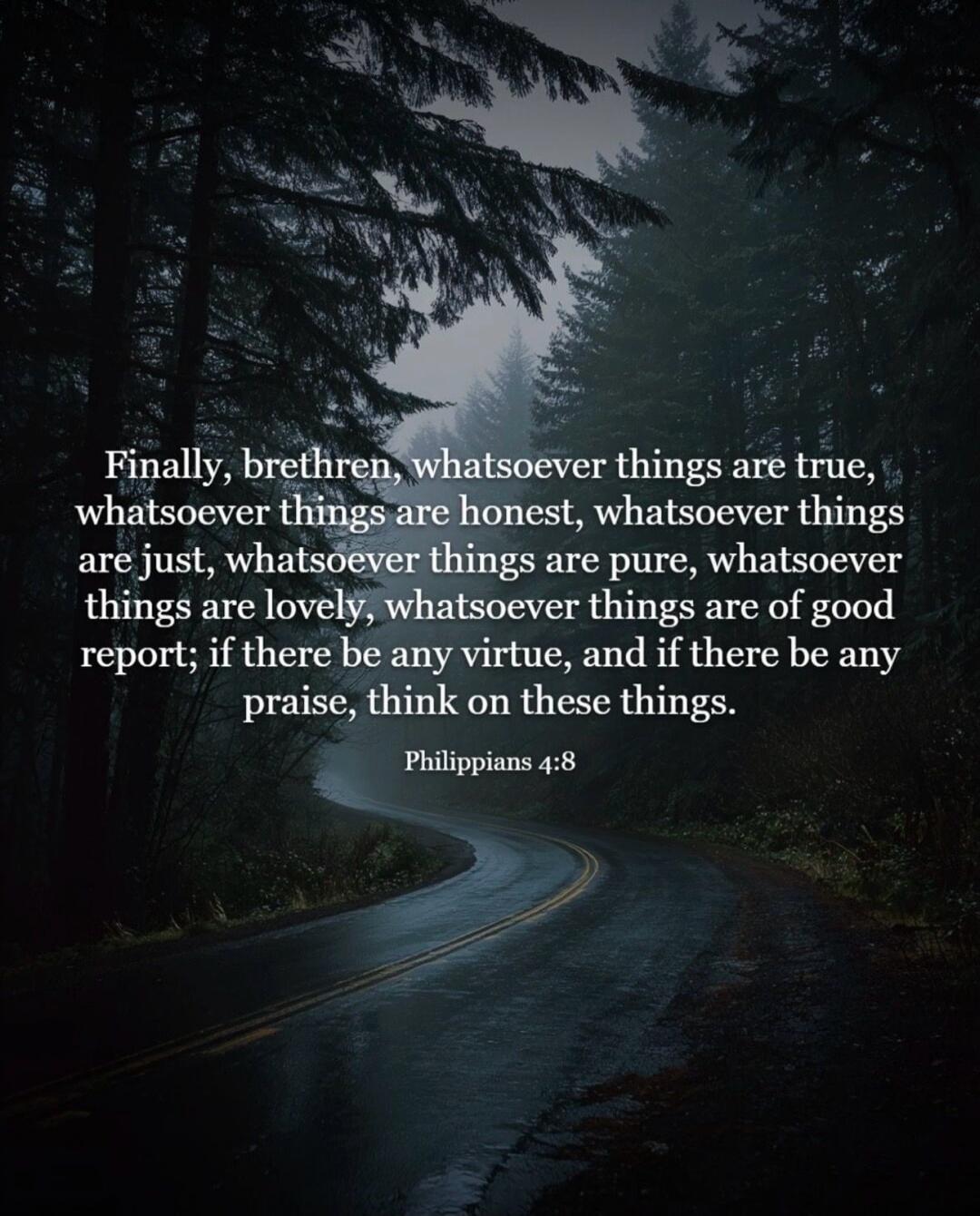 Finally, brethren, whatsoever things are true, whatsoever things are honest, whatsoever things are just, whatsoever things are pure, whatsoever things are lovely, whatsoever things are of good report; if there be any virtue, and if there be any praise, think on these things. Philippians 4:8