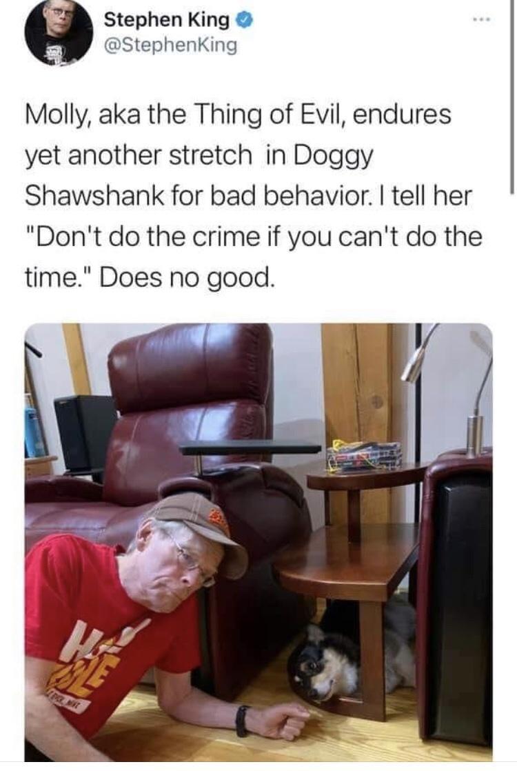 L 3 Stephen King StephenKing Molly aka the Thing of Evil endures yet another stretch in Doggy Shawshank for bad behavior tell her Dont do the crime if you cant do the time Does no good