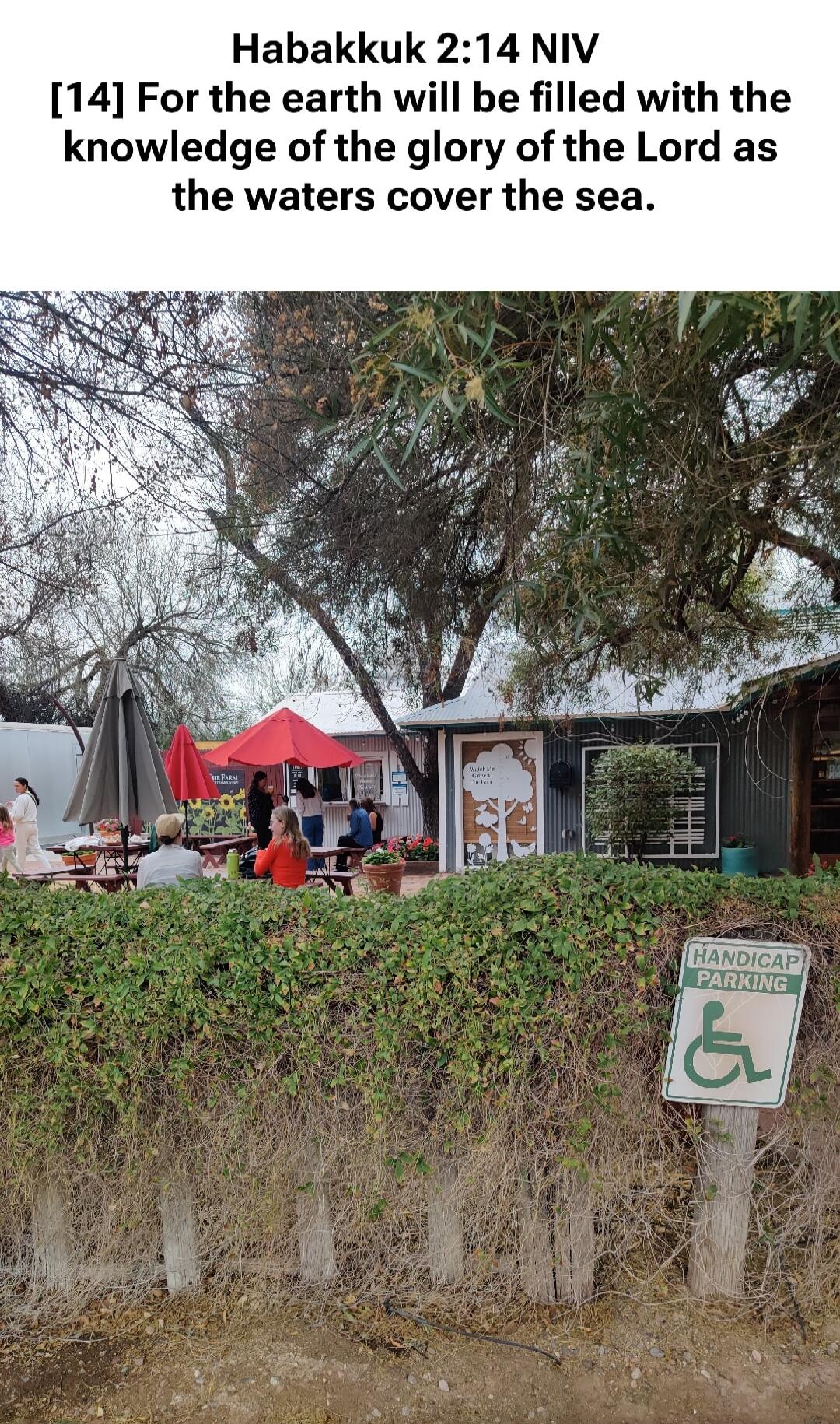 Habakkuk 2:14 NIV
[14] For the earth will be filled with the knowledge of the glory of the Lord as the waters cover the sea.