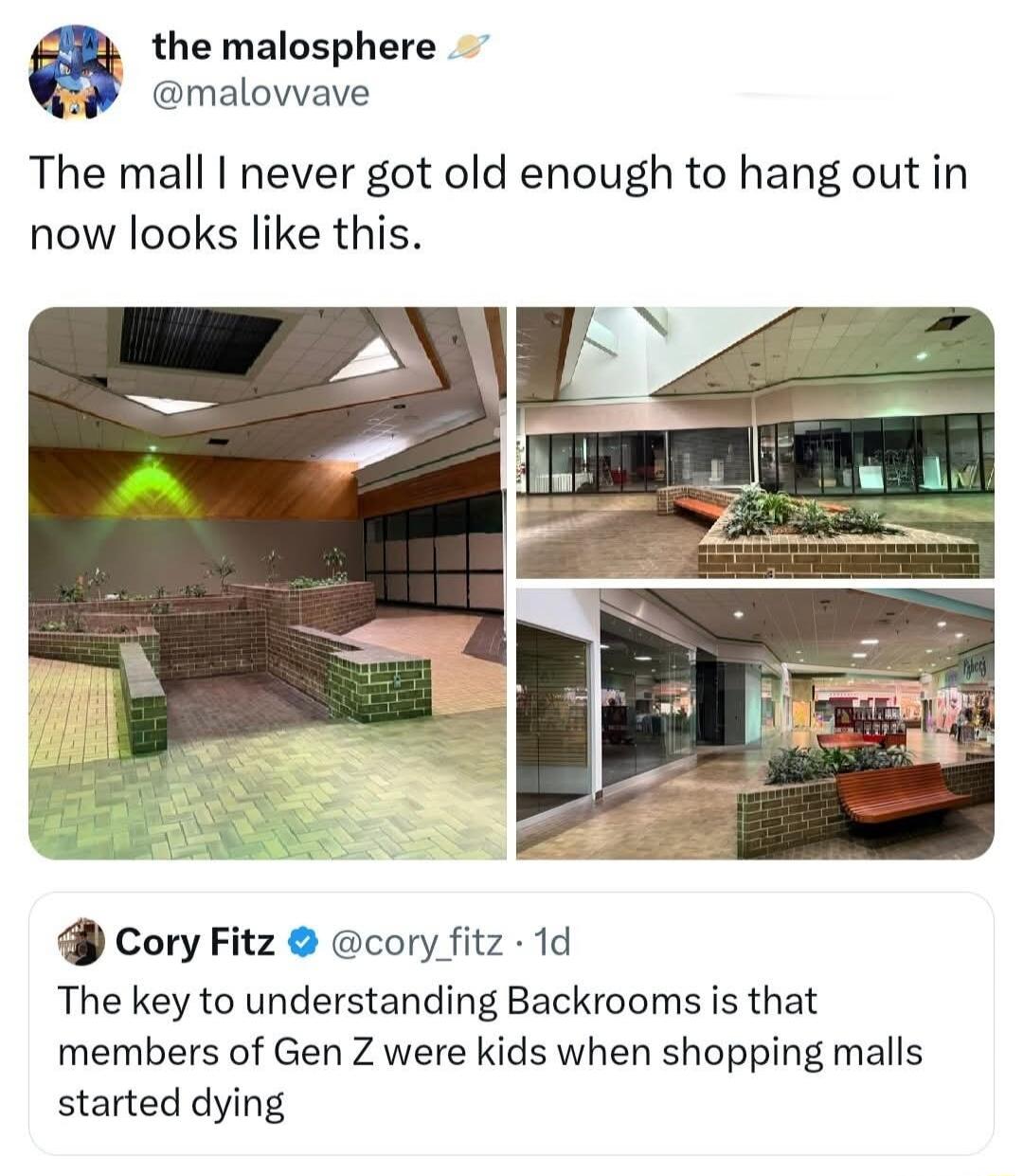 the malosphere @malovvave The mall I never got old enough to hang out in now looks like this. Cory Fitz @cory_fitz · 1d The key to understanding Backrooms is that members of Gen Z were kids when shopping malls started dying