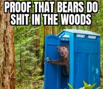 PROOF THAT BEARS DO SHIT IN THE WOODS