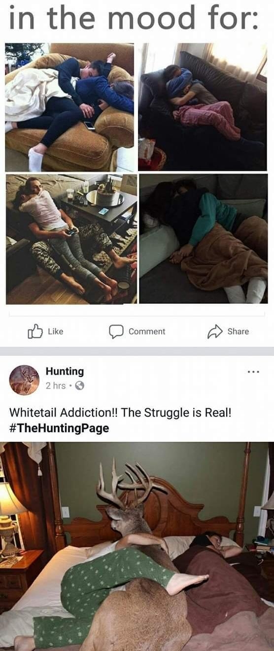 B in the mood for 2 s Whitetail Addiction The Struggle is Real TheHuntingPage