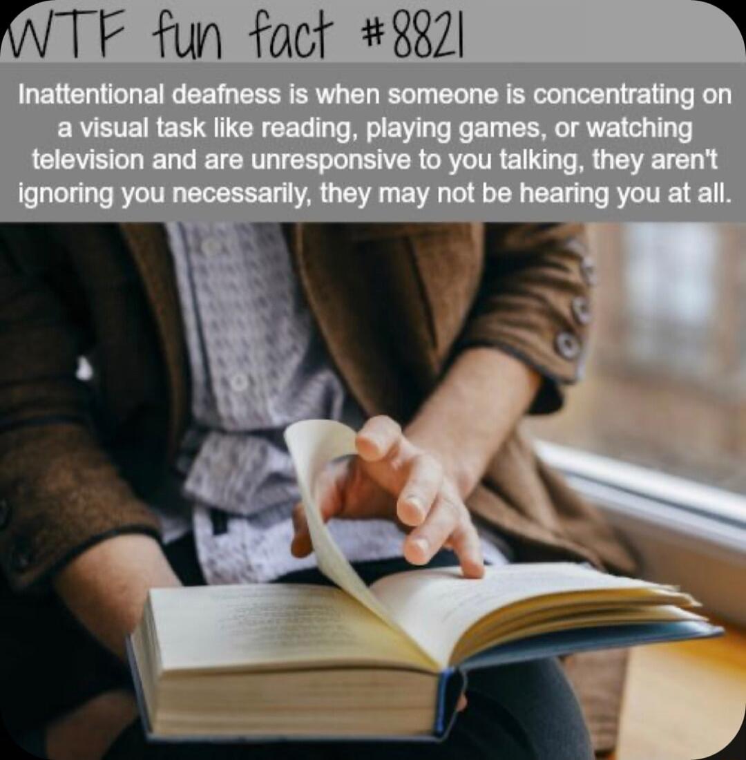 INTFE fun fact 8372 0