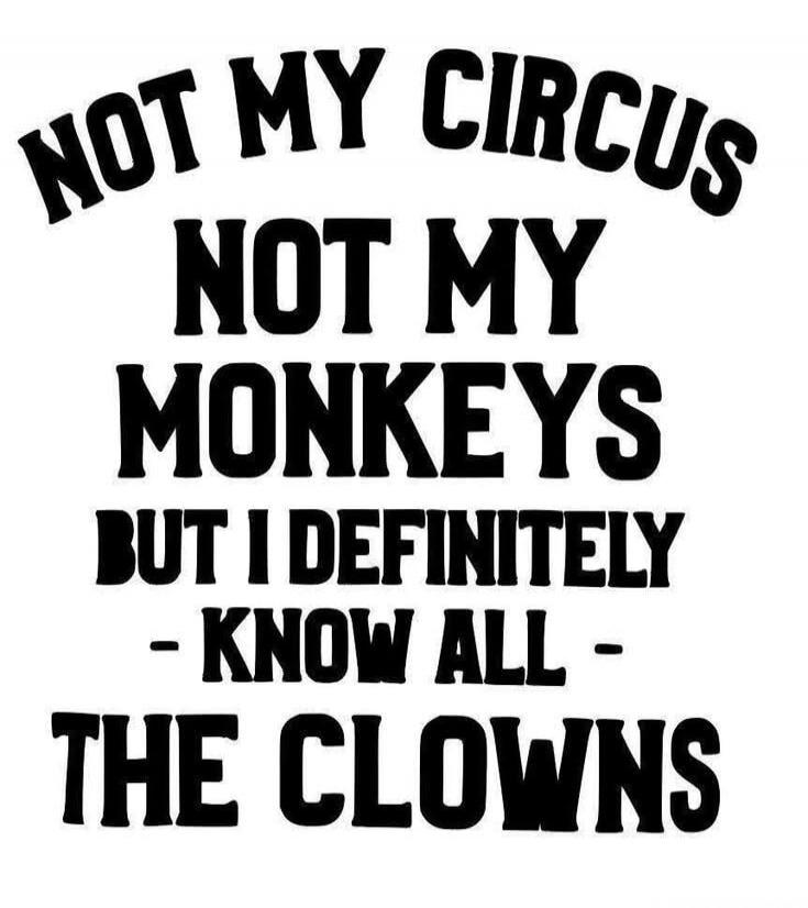 NOT MY CIRCUS NOT MY MONKEYS BUT I DEFINITELY KNOW ALL THE CLOWNS