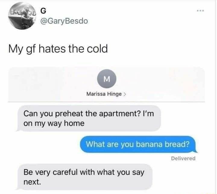 G GaryBesdo My gf hates the cold Marissa Hinge Can you preheat the apartment Im on my way home Delivered Be very careful with what you say next