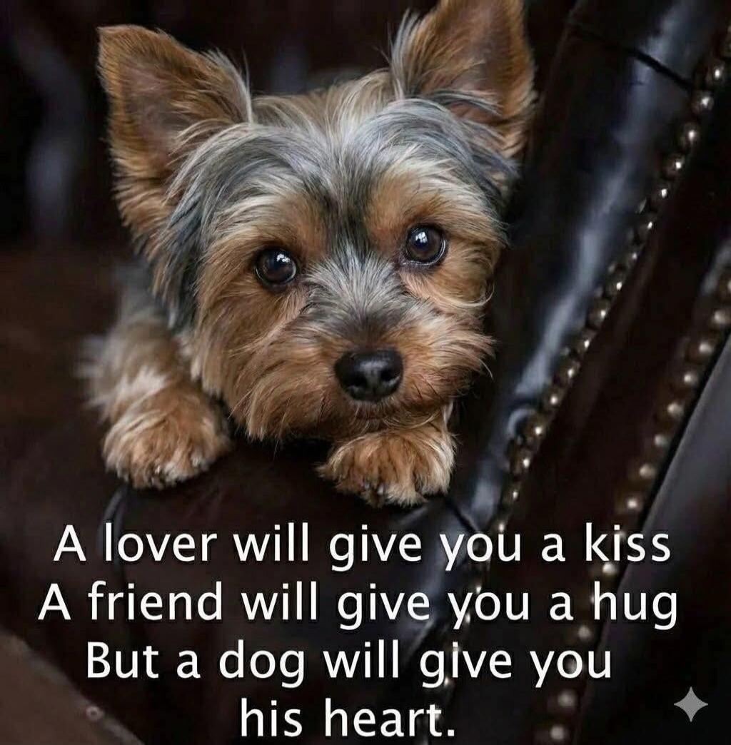 A lover will give you a kiss A friend will give you a hug But a dog will give you his heart.