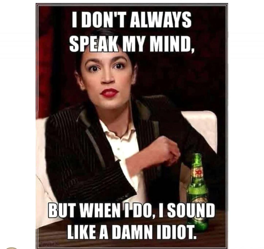 I DON'T ALWAYS SPEAK MY MIND, BUT WHEN I DO, I SOUND LIKE A DAMN IDIOT.