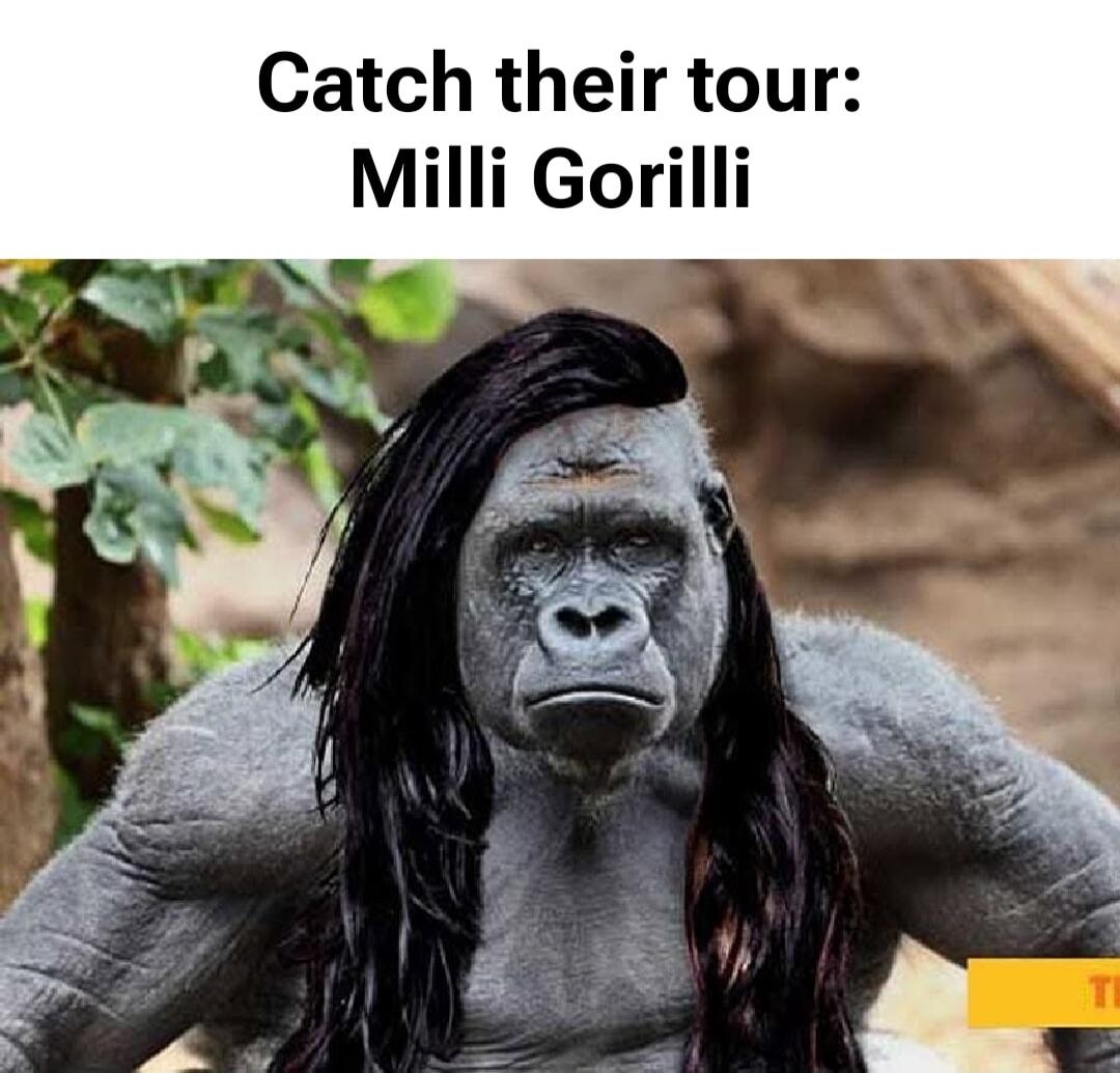 Catch their tour: Milli Gorilli