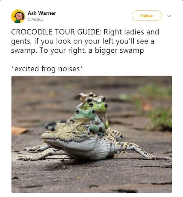 Ash Warner CROCODILE TOUR GUIDE Right ladies and gents if you look on your left youll see a swamp To your right a bigger swamp excited frog noises