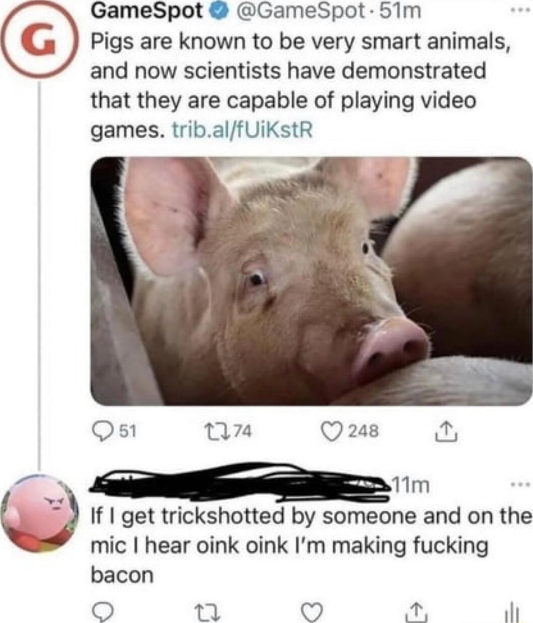 GameSpot GameSpot 5Tm Pigs are known to be very smart animals and now scientists have demonstrated that they are capable of playing video games tribalfUiKstR Os1 07 Q248 11m Q If get trickshotted by someone and on the mic hear oink oink Im making fucking bacon L 3 O h