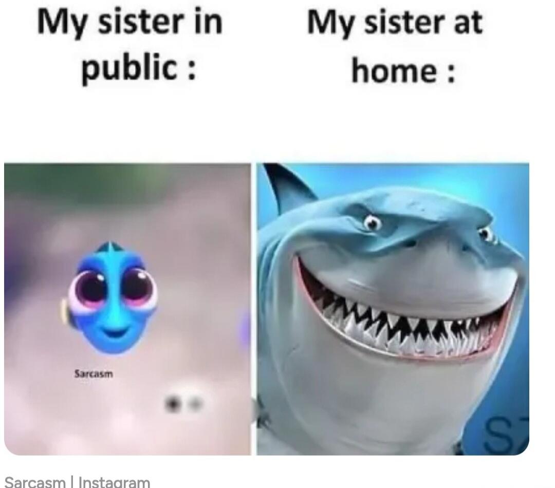 My sister in public: My sister at home: Sarcasm Sarcasm | Instagram