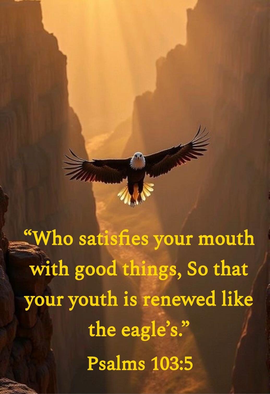 “Who satisfies your mouth with good things, So that your youth is renewed like the eagle’s.” Psalms 103:5