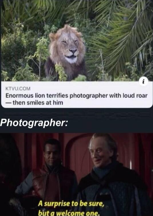 Enormous lion terrifies photographer with loud roar then smiles at him Photographer A surprise to be sure but a welcome one
