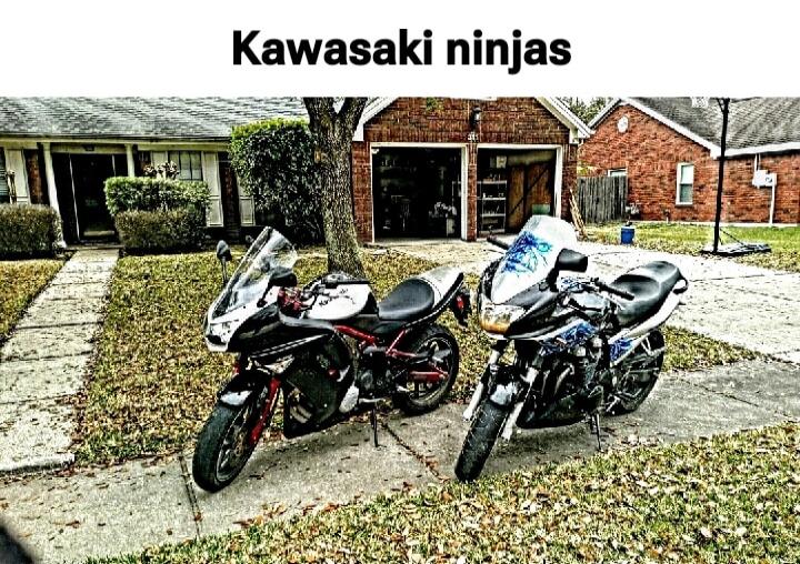 Kawasaki ninjas