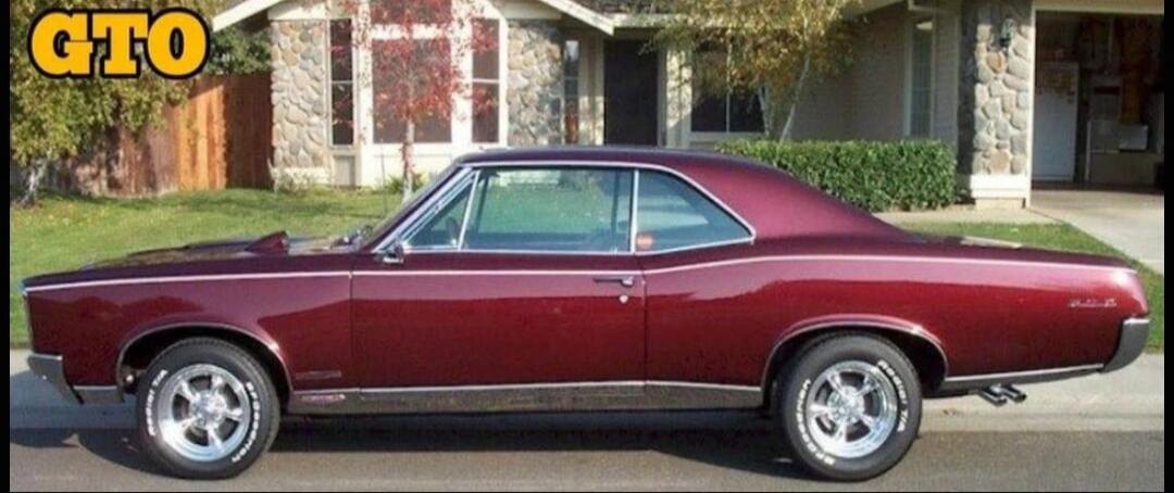 GTO