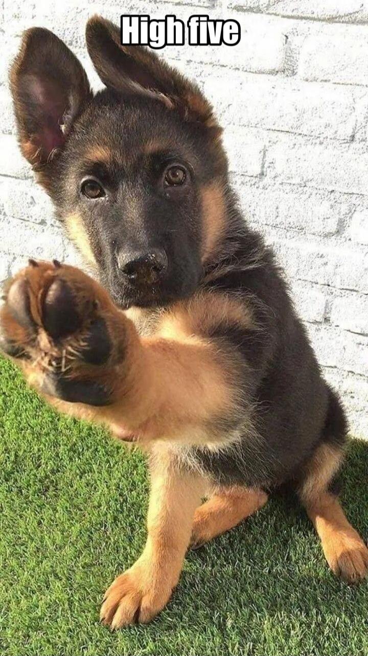 High five