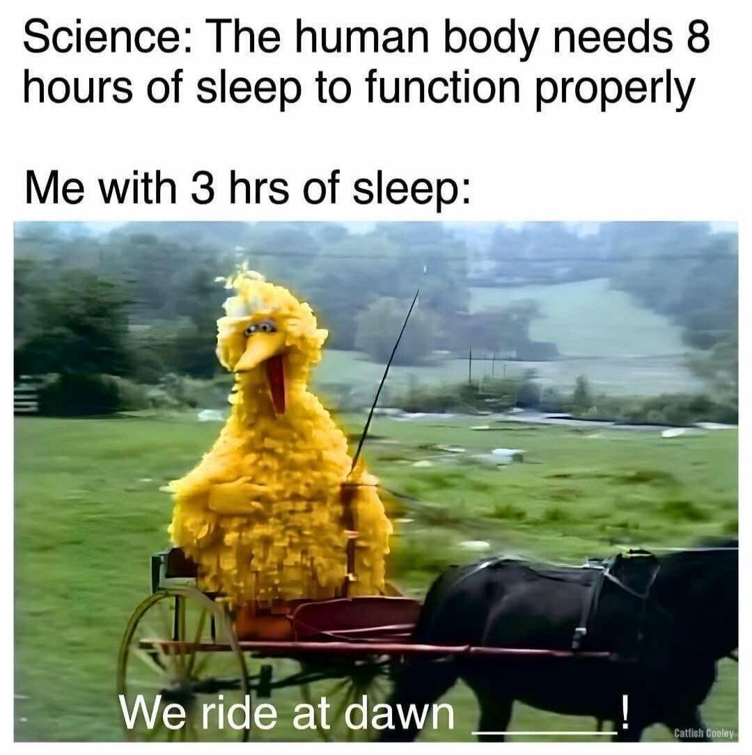 Science: The human body needs 8 hours of sleep to function properly. Me with 3 hrs of sleep: We ride at dawn !