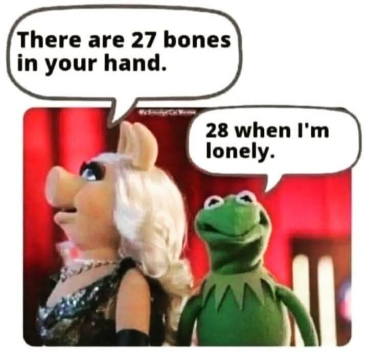 There are 27 bones in your hand.
28 when I'm lonely.