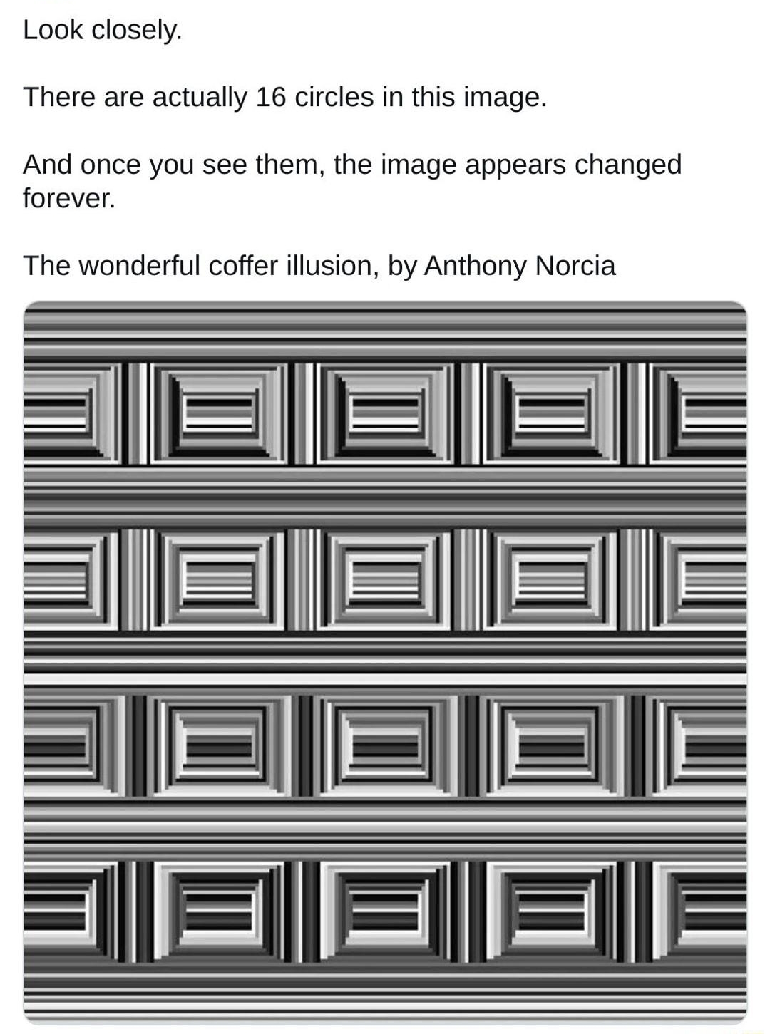 Gavin Buckingham rGBuckingham Look closely There are actually 16 circles in this image And once you see them the image appears changed forever The wonderful coffer illusion by Anthony Norcia Jul T