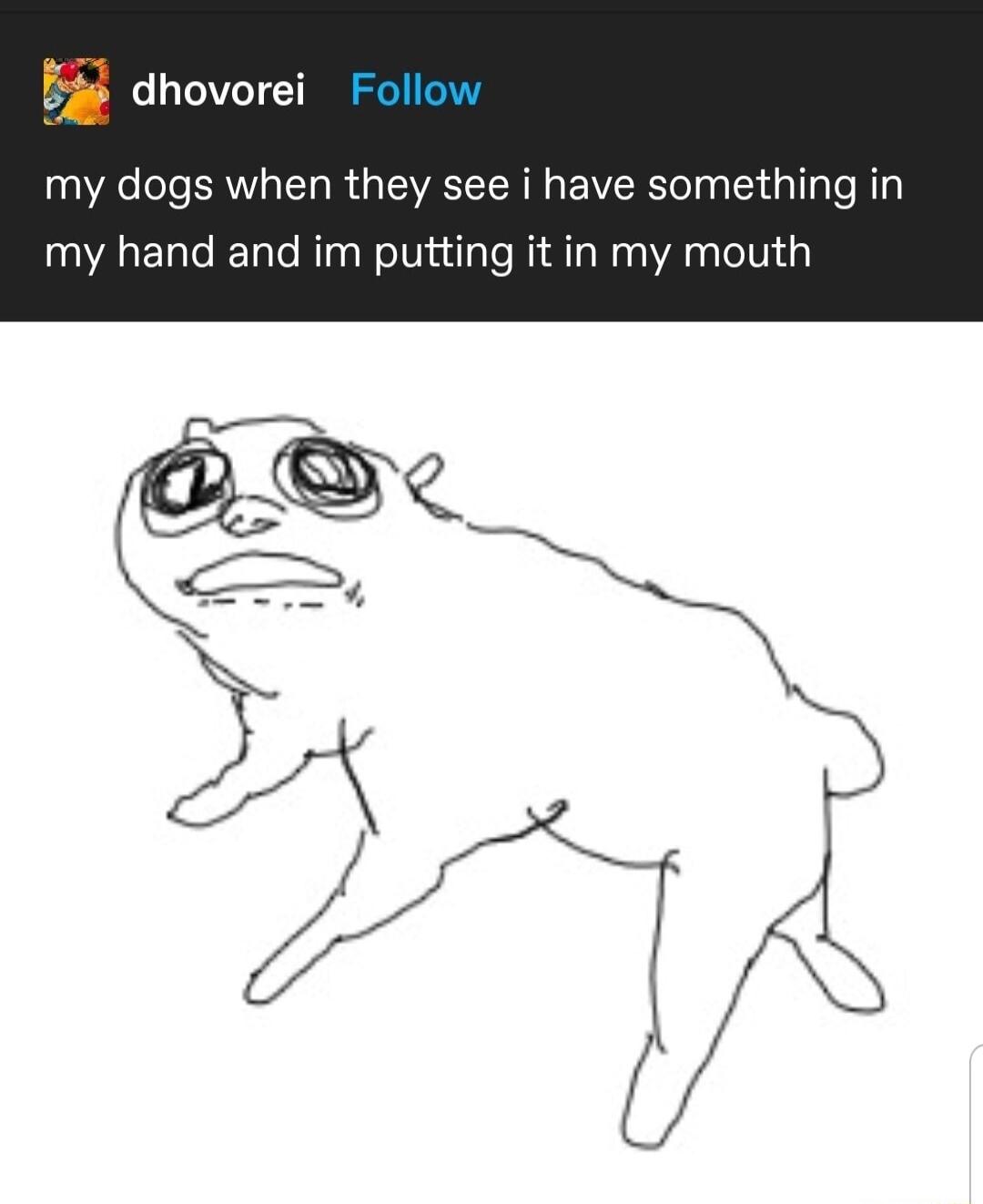 E dhovorei my dogs when they see i have something in my hand and im putting it in my mouth