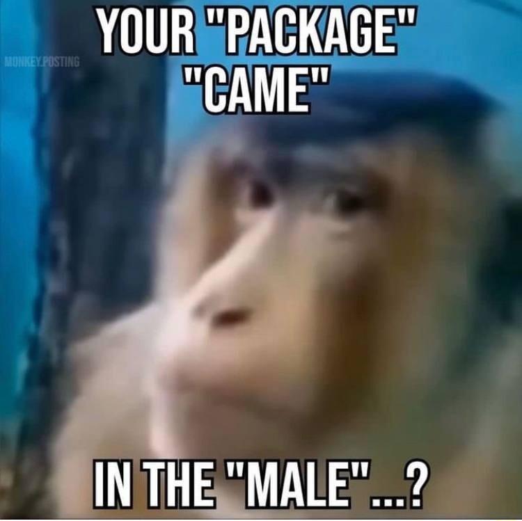 YOUREPACKAGE 2CAME MALEZ9