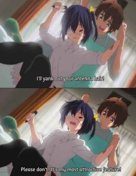 I'll yank out your antenna hair!
Please don't! It's my most attractive feature!