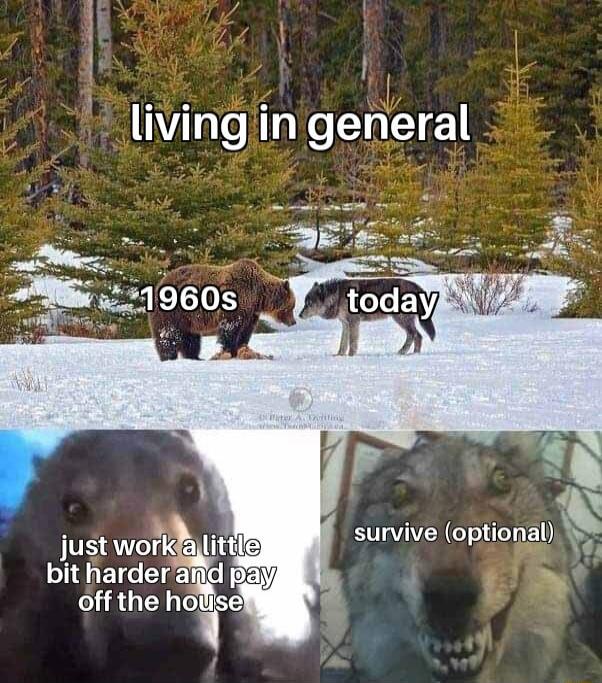 s livingin general just work Mo survive optional n bit harderat 4