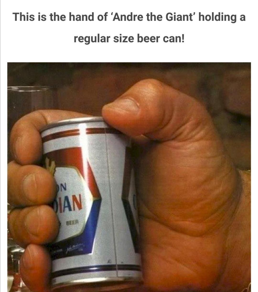 This is the hand of Andre the Giant holding a regular size beer can