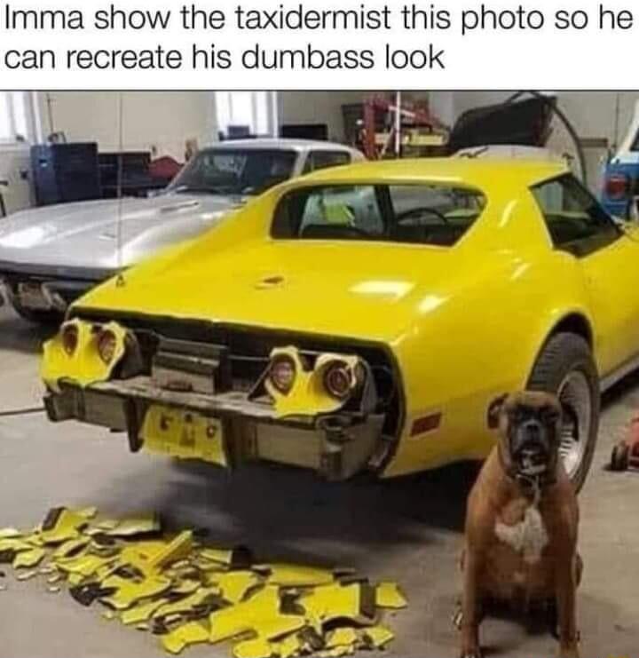 Imma show the taxidel this photo so he can recreate his dumbass look