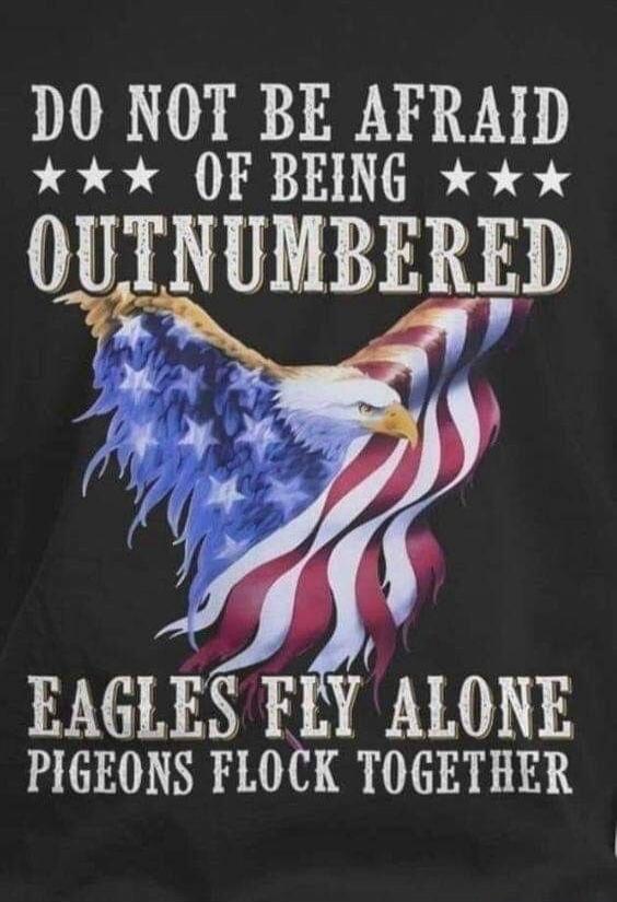 DO NOT BE AFRAID OF BEING OUTNUMBERED EAGLES FLY ALONE PIGEONS FLOCK TOGETHER