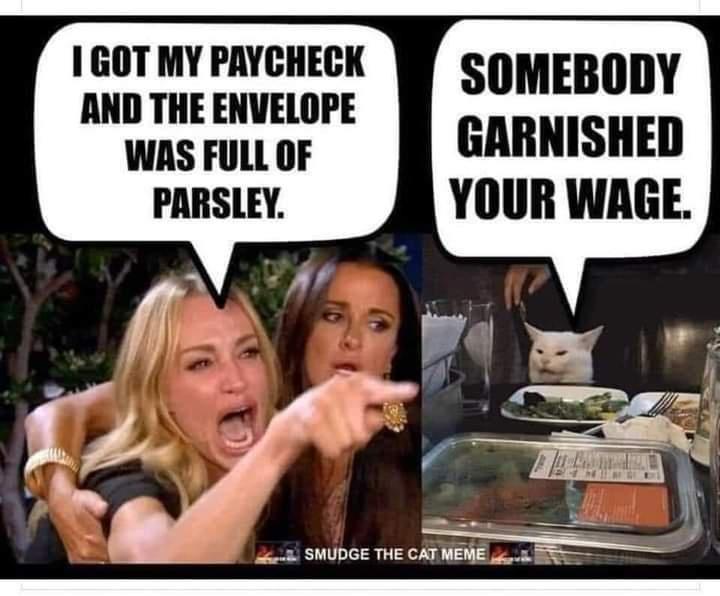 1GOT MY PAYCHECK B AND THE ENVELOPE SOMEBODY WAS FULL OF GARNISHED PARSLEY YOUR WAGE 3 SMUDGE THE CATMEME 2 B