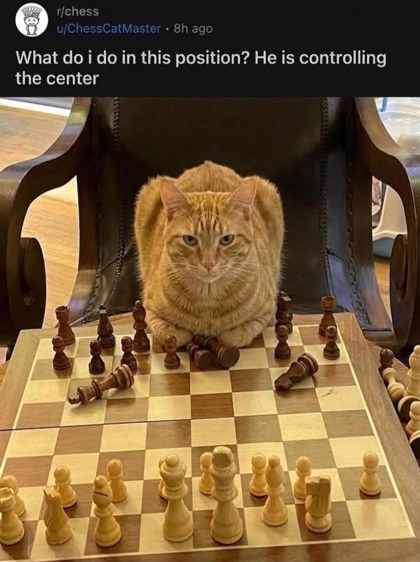 r/chess u/ChessCatMaster 8h ago What do I do in this position? He is controlling the center