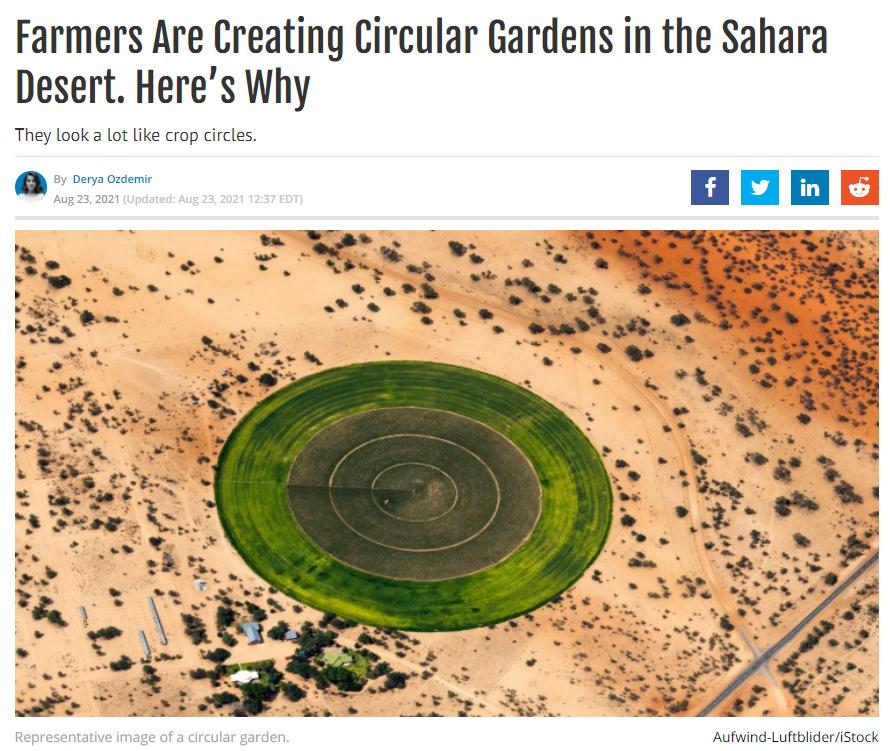Farmers Are Creating Circular Gardens in the Sahara Desert Heres Why They look a lot like crop circles o oo oucemi Aufwind LuftblideriStock