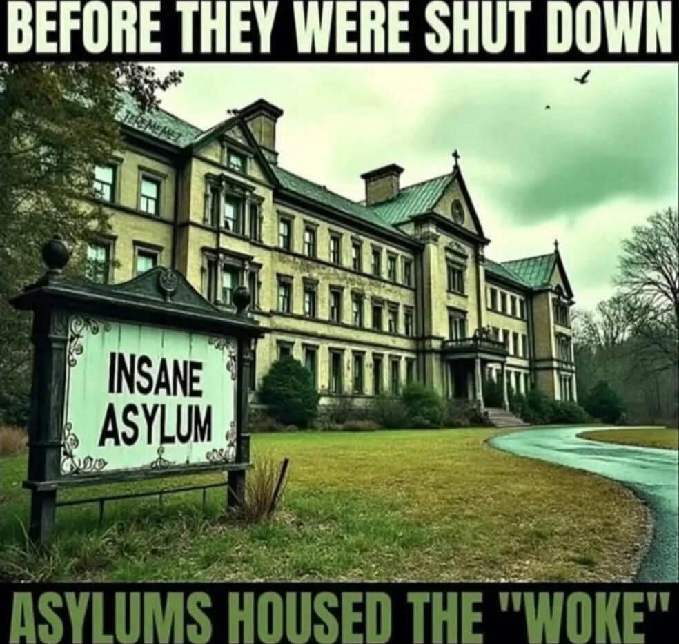 BEFORE THEY WERE SHUT DOWN INSANE ASYLUM ASYLUMS HOUSED THE 