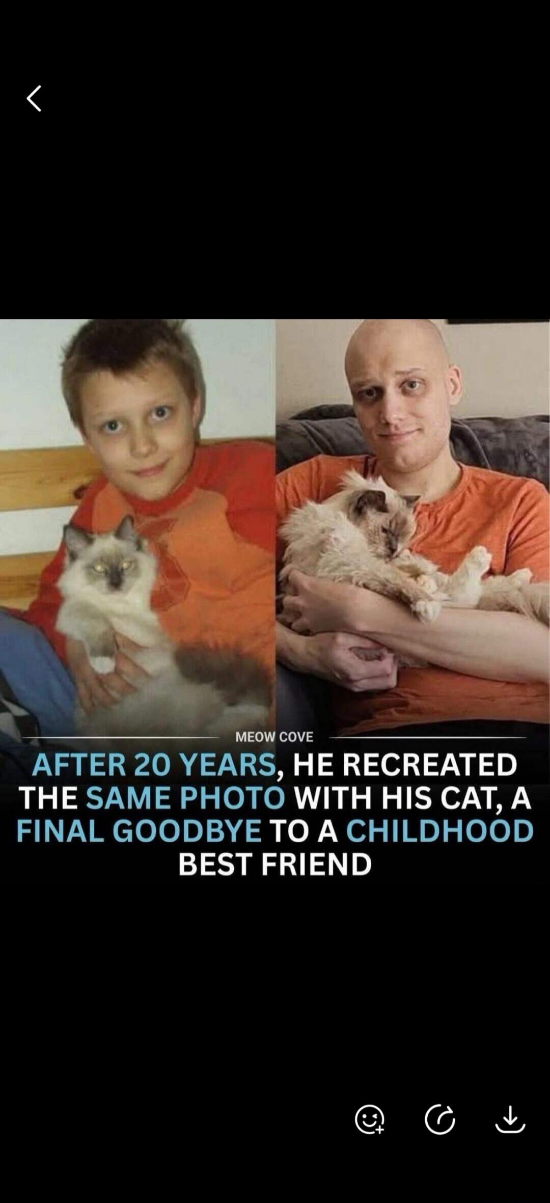 MEOW COVE AFTER 20 YEARS, HE RECREATED THE SAME PHOTO WITH HIS CAT, A FINAL GOODBYE TO A CHILDHOOD BEST FRIEND