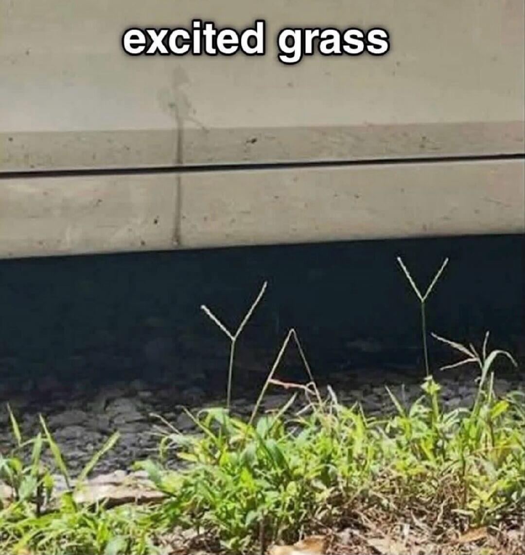 excited grass. The grass blades are naturally shaped like the letters 'Y' and 'A', forming 'YA', an exclamation of excitement.