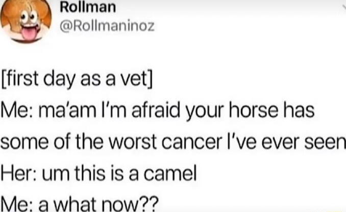 Rollman Rollmaninoz first day as a vet Me maam Im afraid your horse has some of the worst cancer ve ever seen Her um this is a camel Me a what now