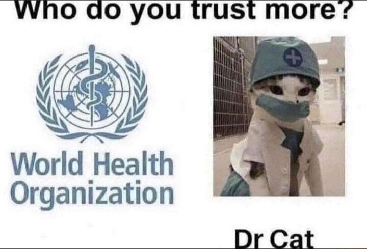 VVNo do you trust more AN Y ENSES World Health Organization