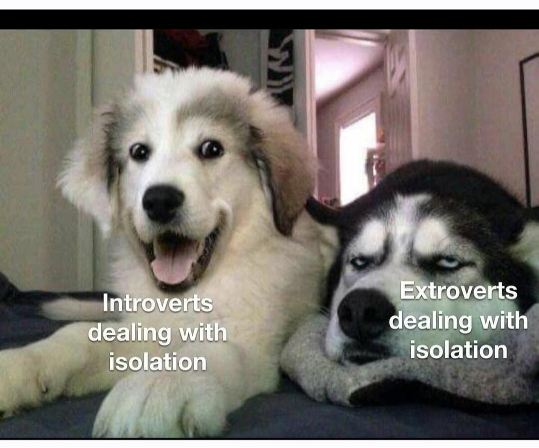 Introverts dealing with isolation. Extroverts dealing with isolation.