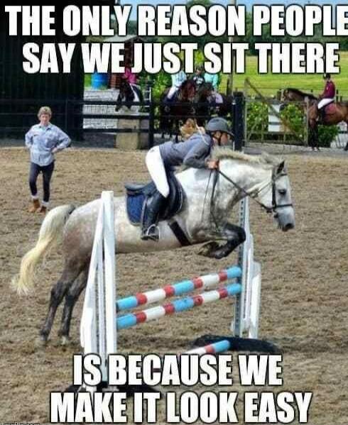 THE ONLY REASON PEOPLE SAY WE JUST SIT THERE IS BECAUSE WE MAKE IT LOOK EASY