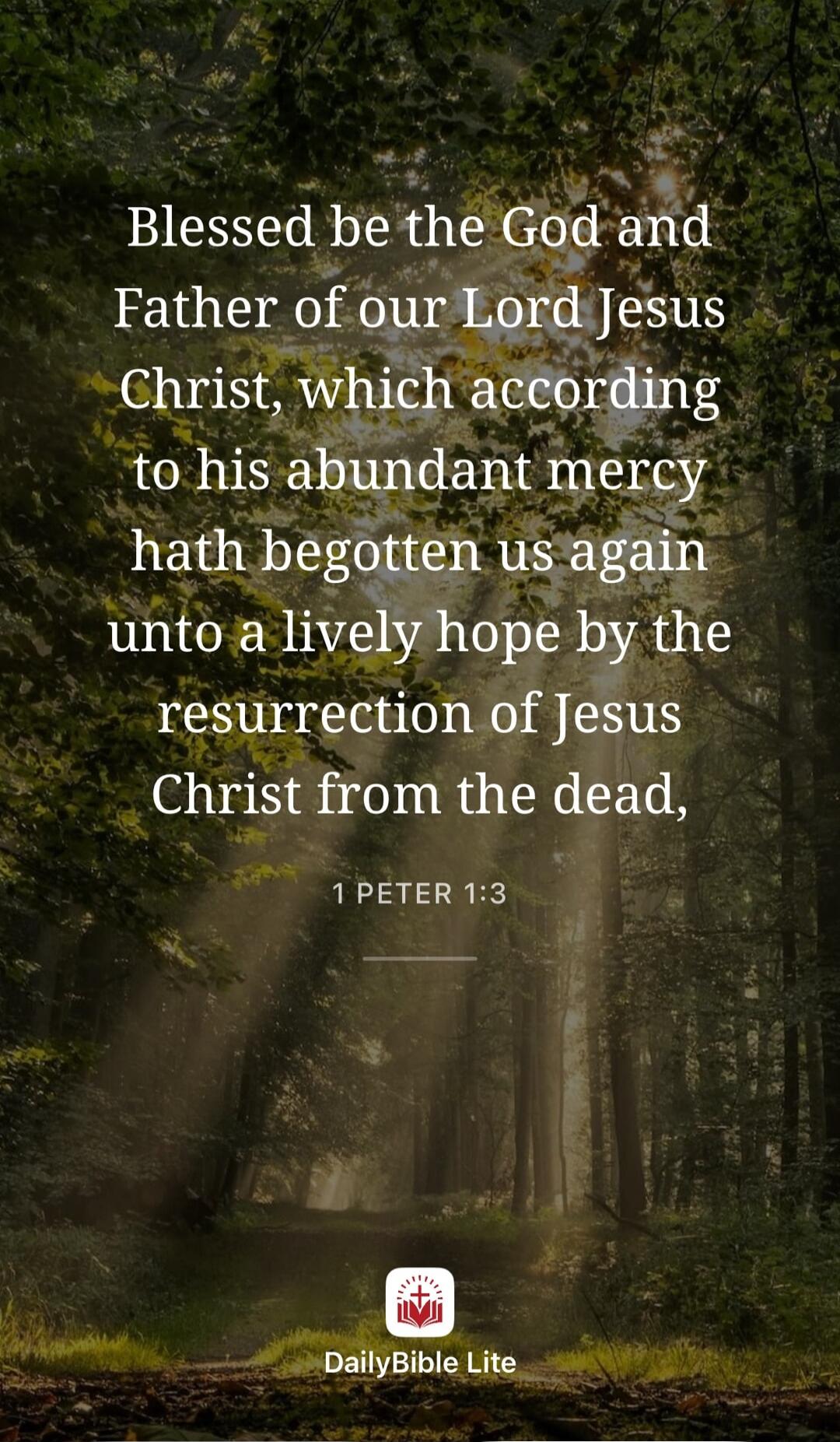 Blessed be the God and Father of our Lord Jesus Christ, which according to his abundant mercy hath begotten us again unto a lively hope by the resurrection of Jesus Christ from the dead, 1 PETER 1:3 DailyBible Lite