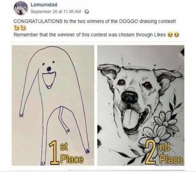 Lomunidad W Sestember 263t 1136AM CONGRATULATIONS to the two winners of the DOGGO drawing contest e Remember that the winnner of this contest was chosen through Likes