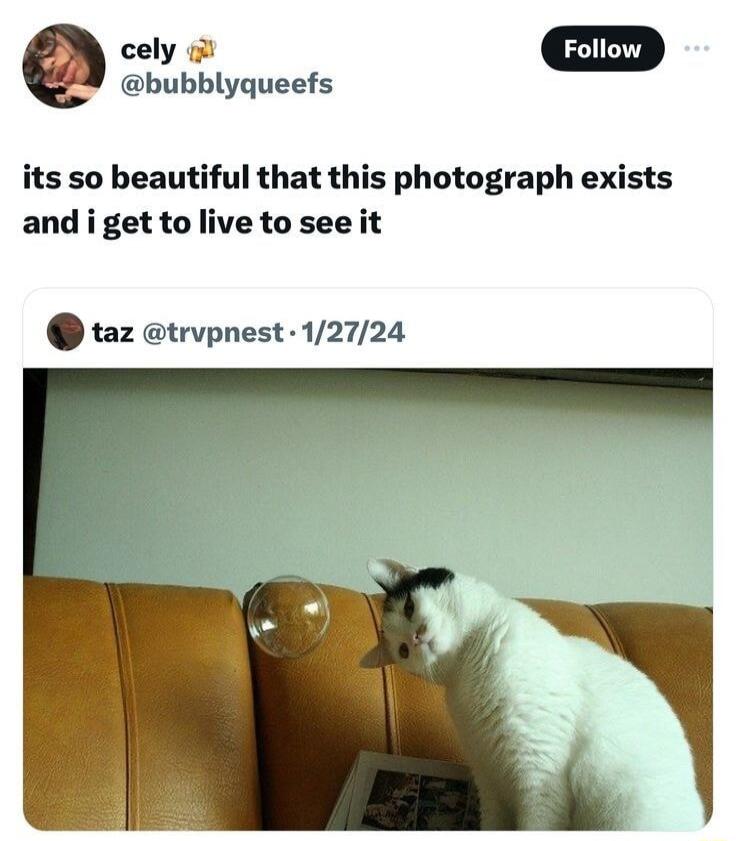 its so beautiful that this photograph exists and i get to live to see it