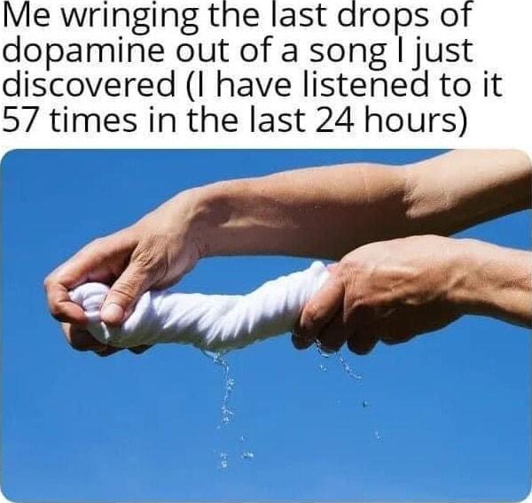 Me wringing the last drops of dopamine out of a song just discovered I have listened to it 57 times in the last 24 hours