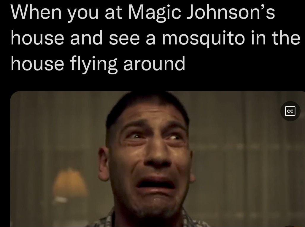 When you at Magic Johnsons house and see a mosquito in the house flying around