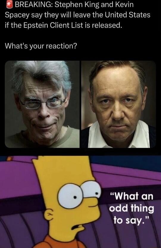 BREAKING Stephen King and Kevin Spacey say they will leave the United States if the Epstein Client List is released Whats your reaction k What an odd thing to say