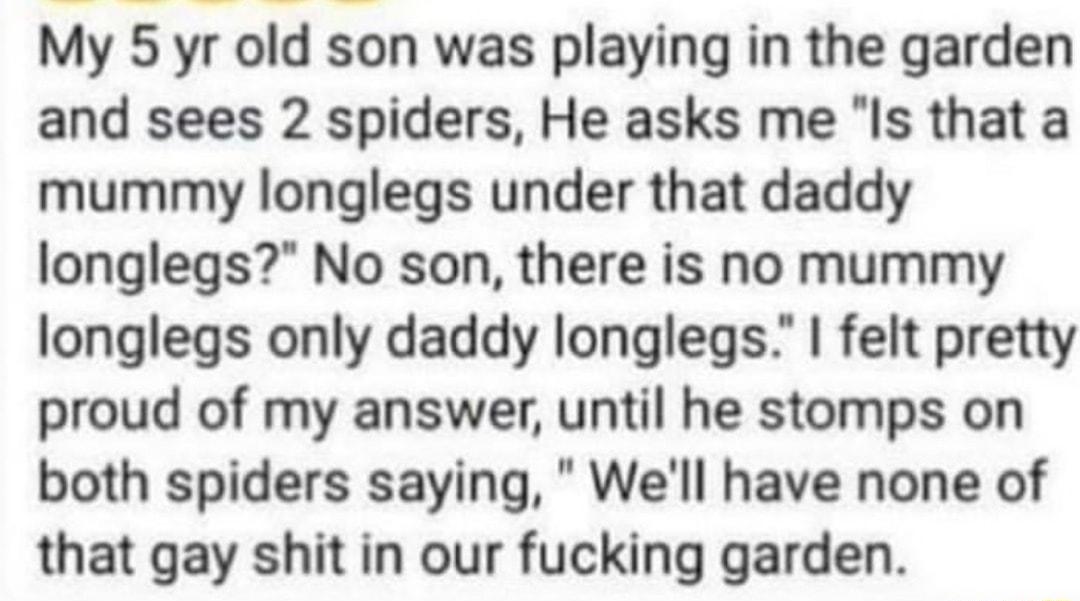 My 5 yr old son was playing in the garden and sees 2 spiders He asks me Is that a mummy longlegs under that daddy longlegs No son there is no mummy longlegs only daddy longlegs felt pretty proud of my answer until he stomps on both spiders saying Well have none of that gay shit in our fucking garden