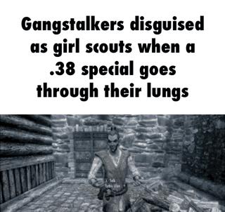 Gangstalkers disguised as girl scouts when a 38 special goes through th